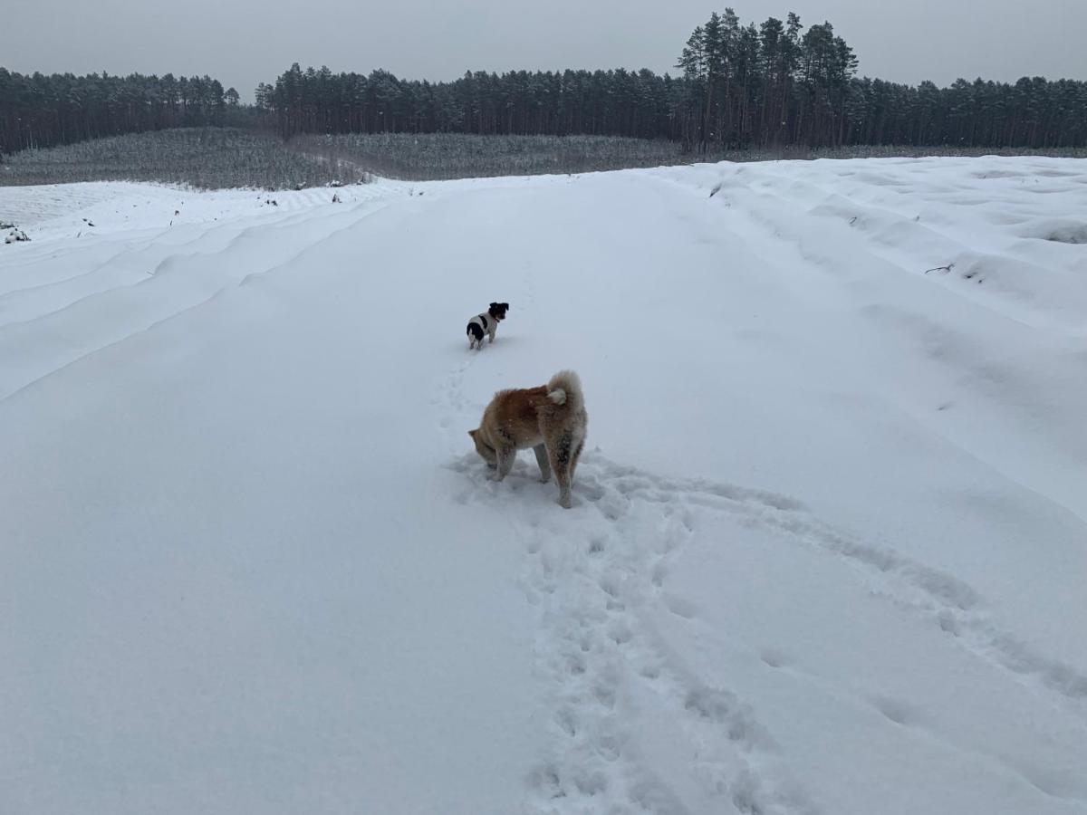 Agroturystyka Gesiniec Stare Osieczno Eksteriør bilde