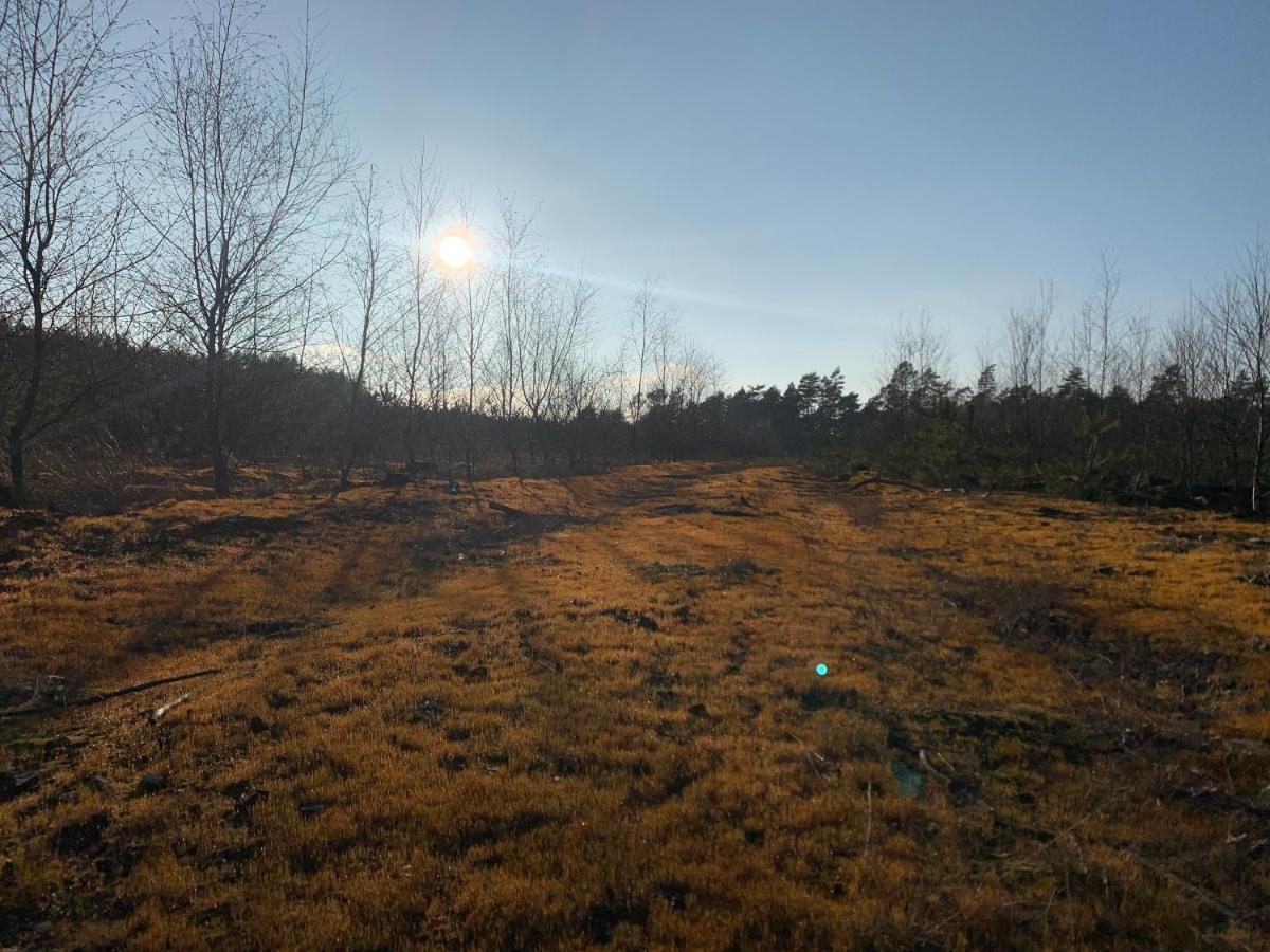 Agroturystyka Gesiniec Stare Osieczno Eksteriør bilde