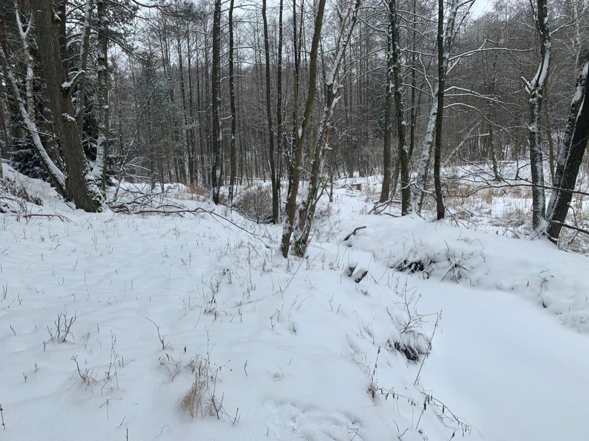 Agroturystyka Gesiniec Stare Osieczno Eksteriør bilde