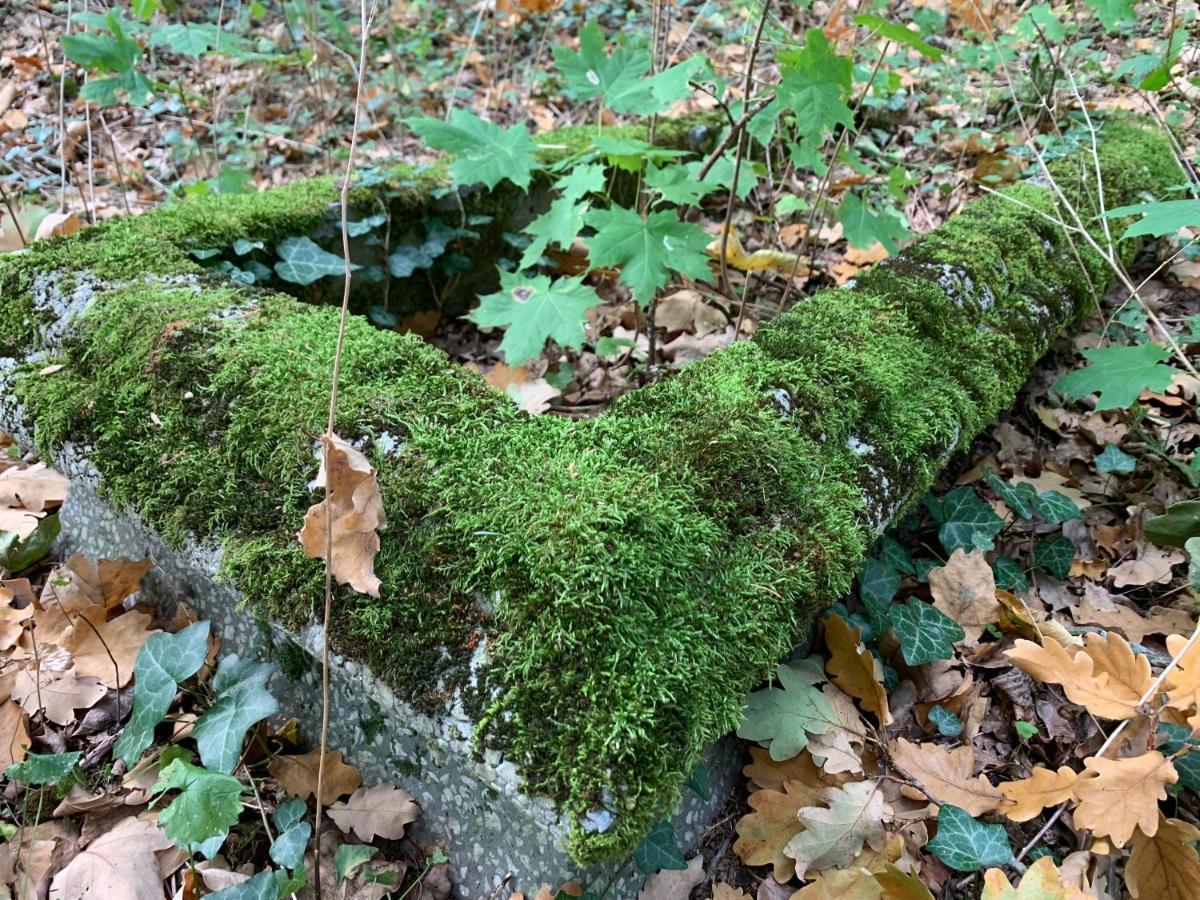 Agroturystyka Gesiniec Stare Osieczno Eksteriør bilde