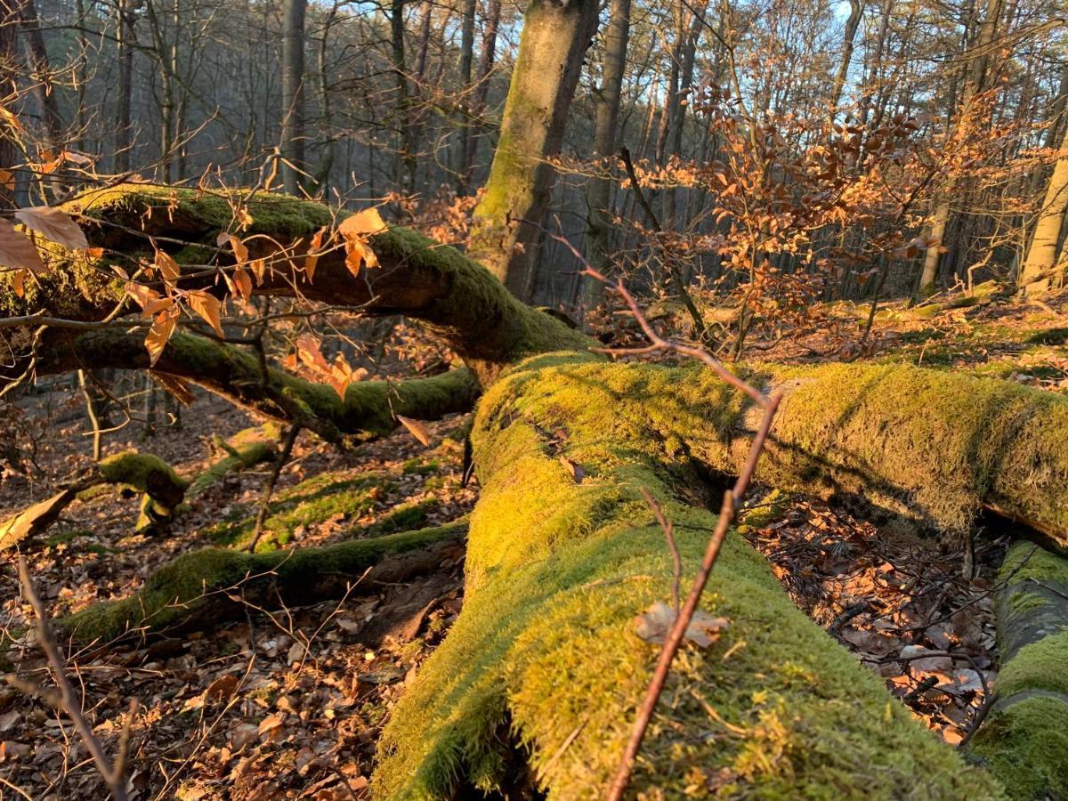 Agroturystyka Gesiniec Stare Osieczno Eksteriør bilde